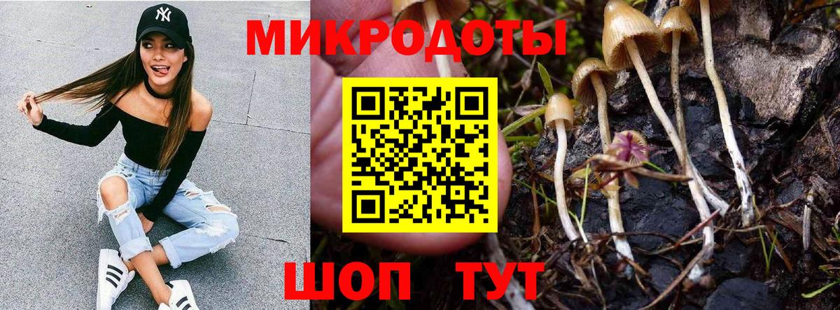 Галлюциногенные грибы Cubensis Протвино