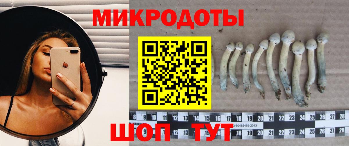 Протвино  Псилоцибиновые грибы Psilocybine cubensis  Вход с VPN  где продают наркотики  Псилоцибиновые грибы мухоморы 